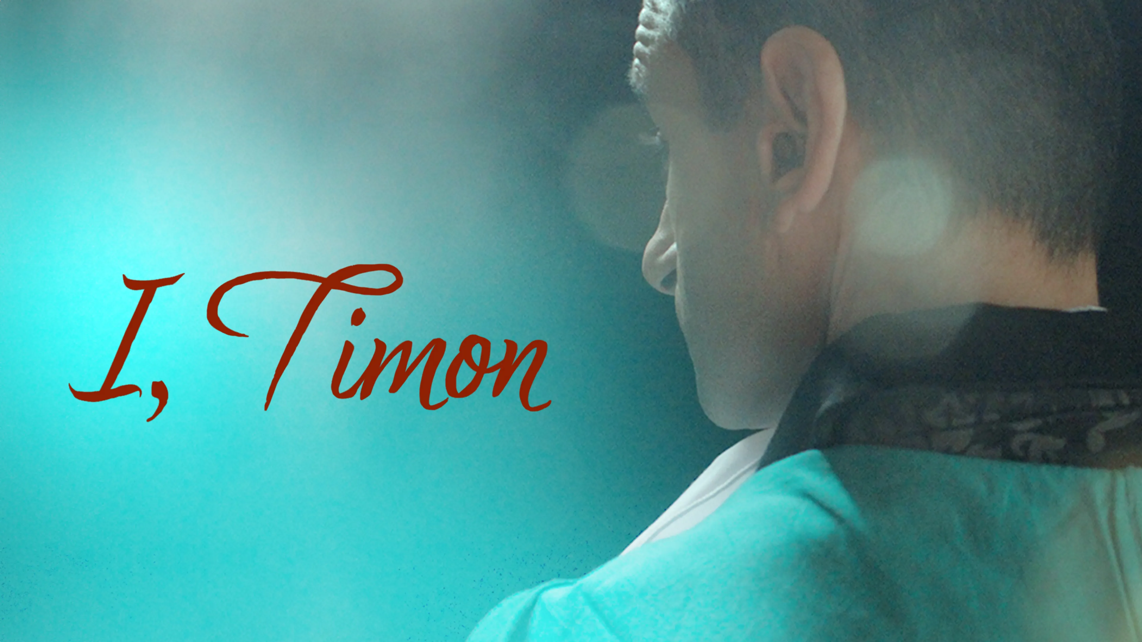 I, Timon poster